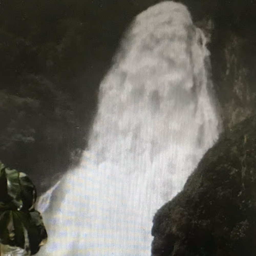 Meet your Posher, Bini